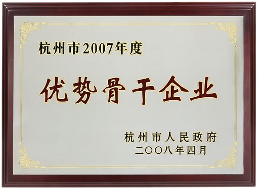 杭州市2007年度優(yōu)勢骨干企業(yè)